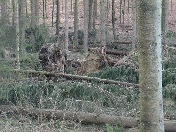 technische Hilfe