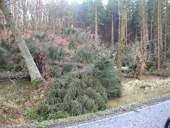 technische Hilfe